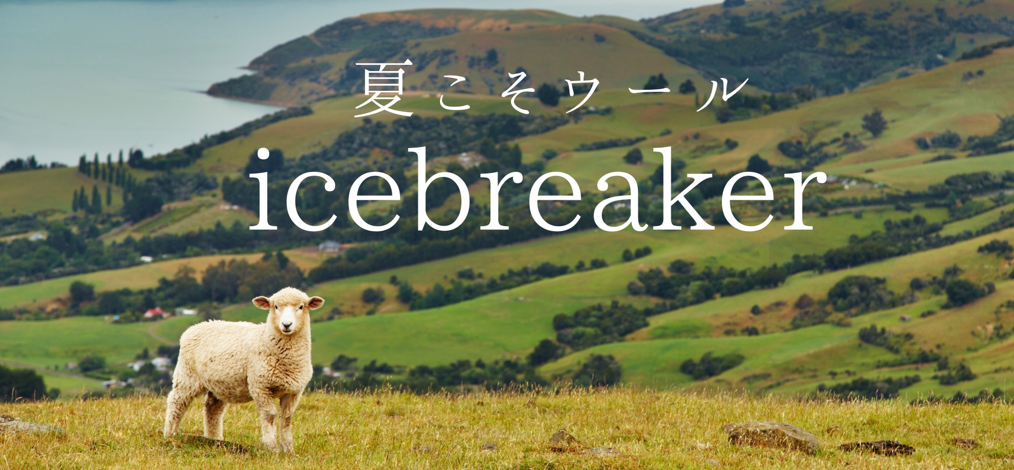 icebreaker