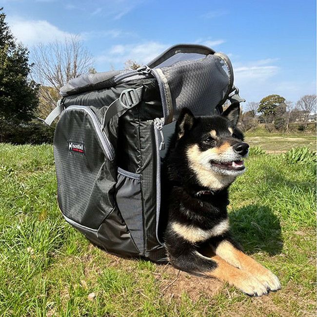 モンベル ドギーキャリング リュック 犬 猫 登山 移動 旅行 ドッグキャリング パック | SHUGAKUSO ONLINE