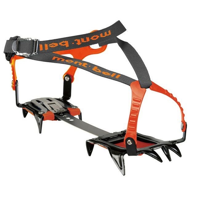 希少　山採り　スノキ スノースパイク 10 | SHUGAKUSO ONLINE