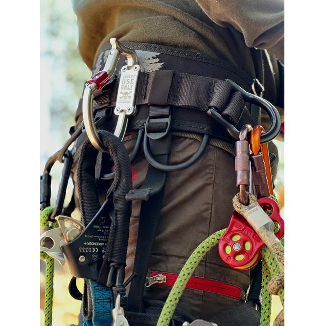 trans Porter XL | SHUGAKUSO ONLINE