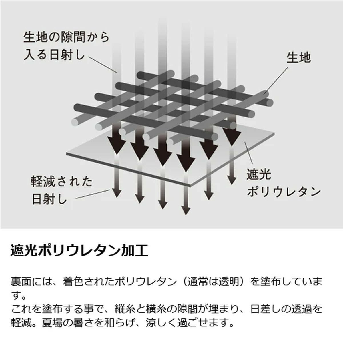 ゼクーL | SHUGAKUSO ONLINE