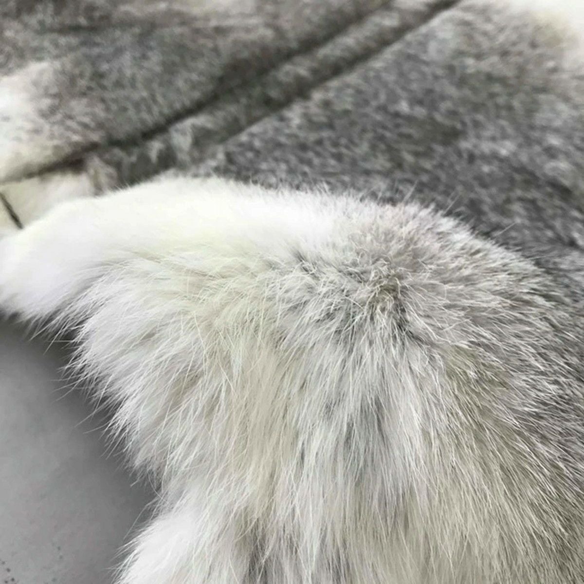 尻皮 うさぎ | SHUGAKUSO ONLINE