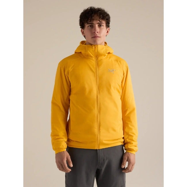 Atom Hoody Men's Larch
