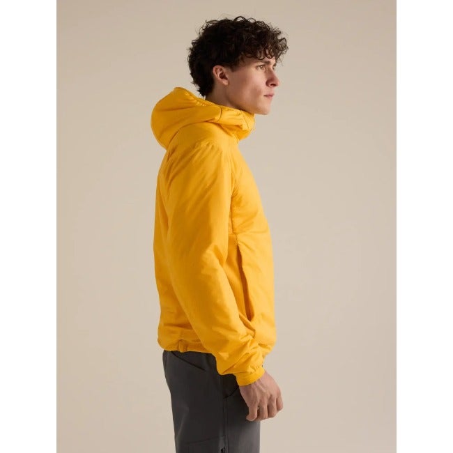 Atom Hoody Men's Larch