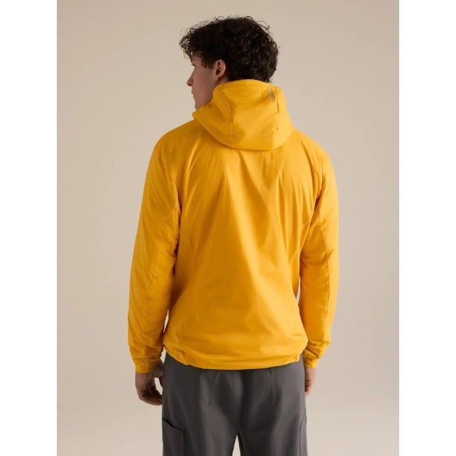 Atom Hoody Men's Larch