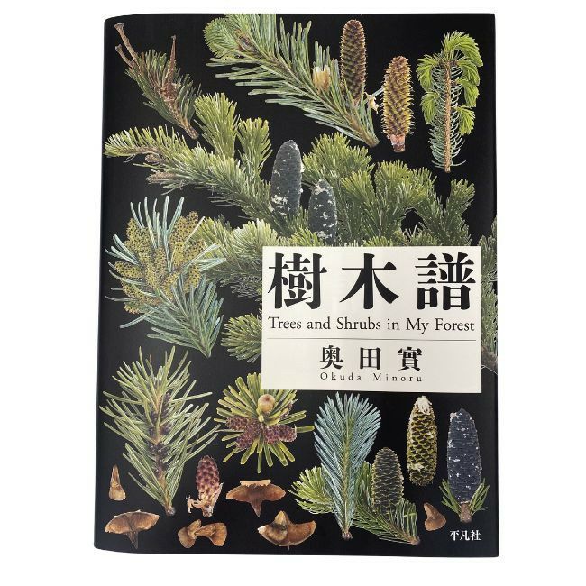 樹木譜 | SHUGAKUSO ONLINE