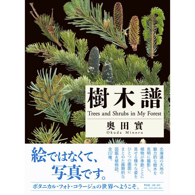 樹木譜 | SHUGAKUSO ONLINE