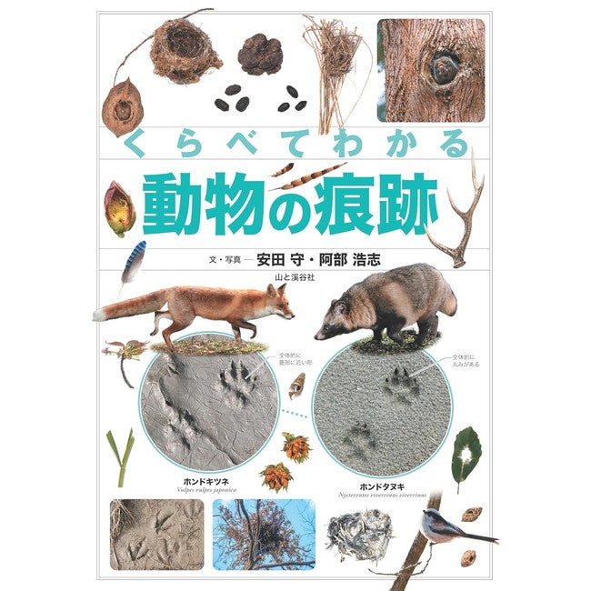 くらべてわかる動物の痕跡 | SHUGAKUSO ONLINE
