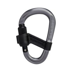 Smart HMS 2.0 Screwgate Carabiner Screw Gate, grey