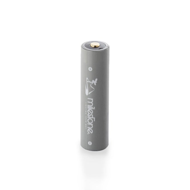 MS-LB3 “Smart Mobile Battery”