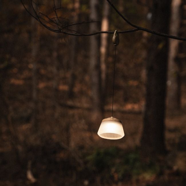 REEL LIGHT PRO