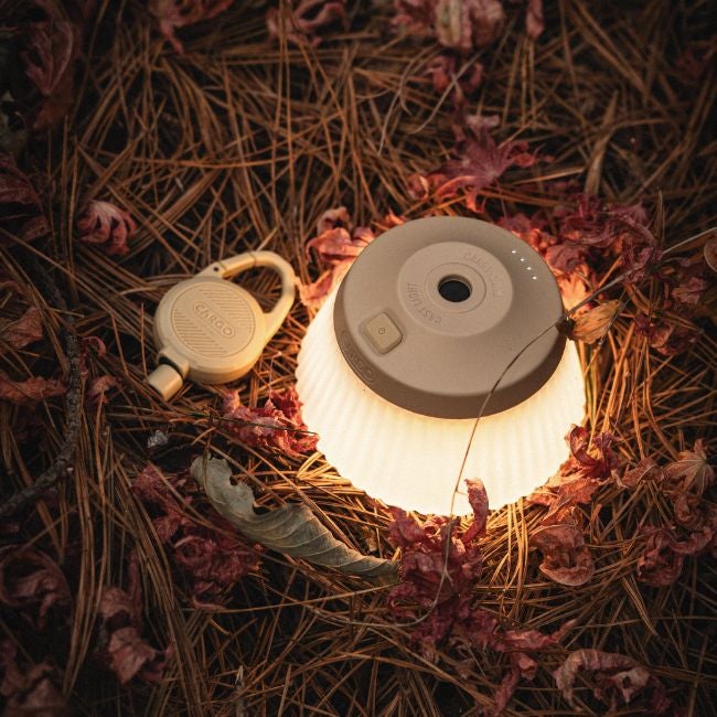 REEL LIGHT PRO
